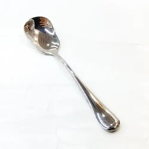 #1010201-SS6; Stainless steel sugar spoon 