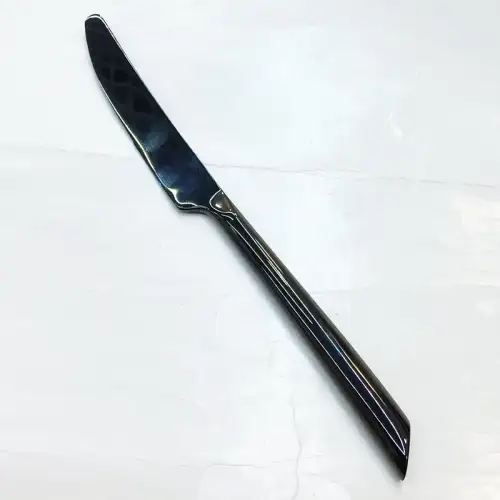 #1176304-25-BK; Stainless steel table knife BK