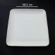 #BS5187-WT; Ceramic 30.5cm sq. plate