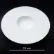 #BU6559; Ceramic 12" rd. plate #YP/WT
