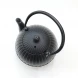 #SQ1851; Cast iron tea pot 0.55L