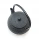 #SQ1868; Cast iron tea pot 0.6L